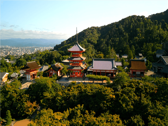 ASJPP00492-thumbnail