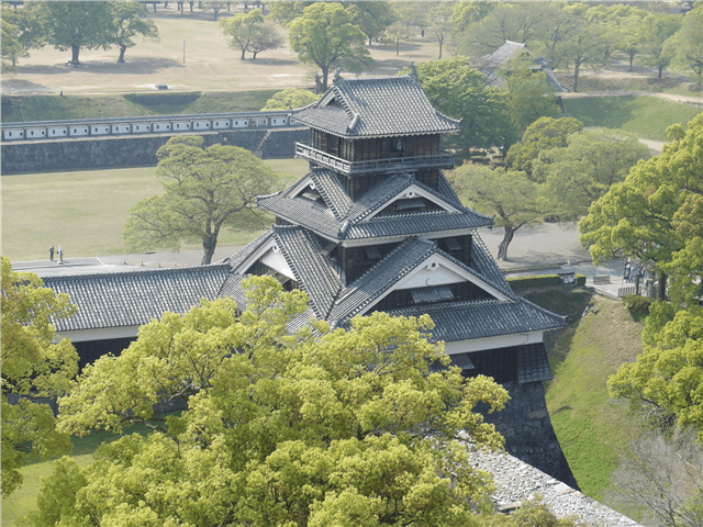 ASJPP08799-thumbnail