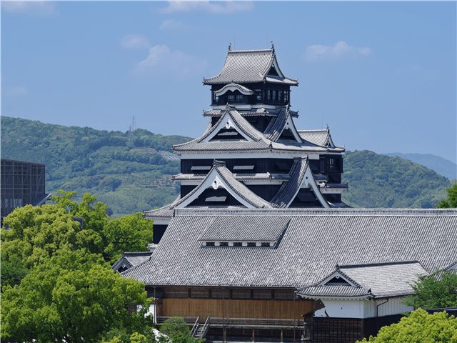 ASJPP01309-thumbnail