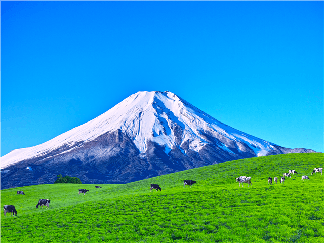 ASJPP03889-thumbnail