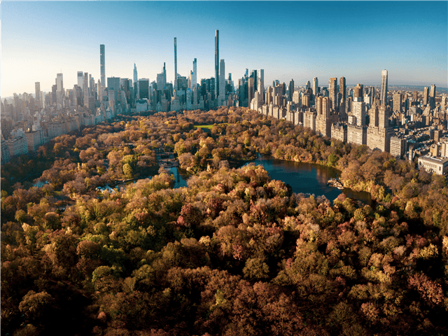 NAUSP11261-thumbnail