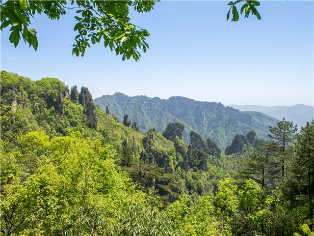 ASCNP27874-thumbnail