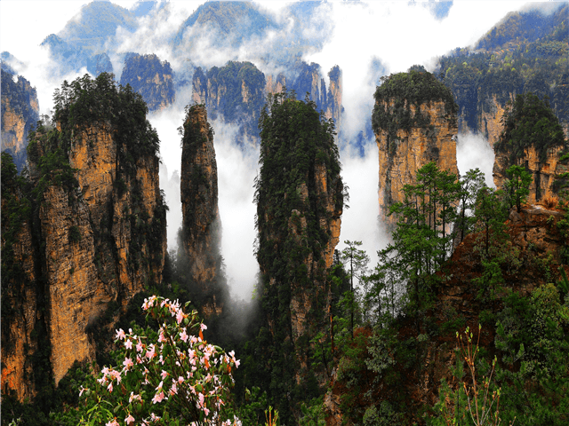 ASCNP29607-thumbnail