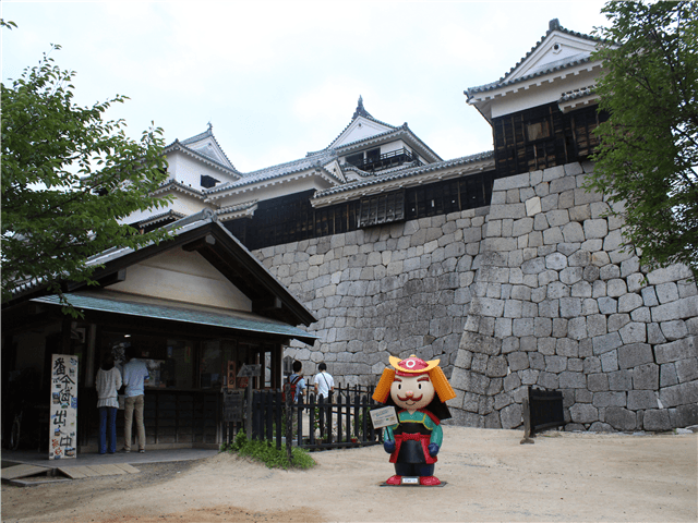 ASJPP00890-thumbnail