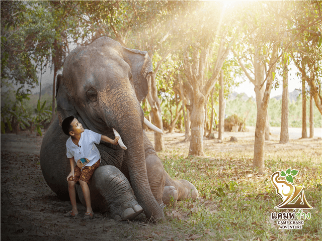 ASTHP06969-thumbnail