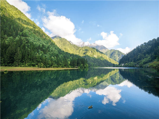 ASCNP27505-thumbnail