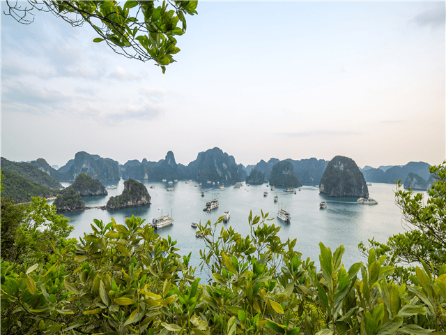 ASVNP11582-thumbnail