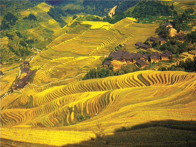 ASCNP28801-thumbnail