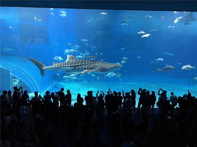 ASJPP01197-thumbnail