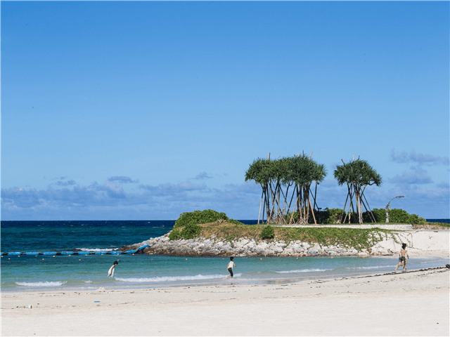 ASJPP08769-thumbnail