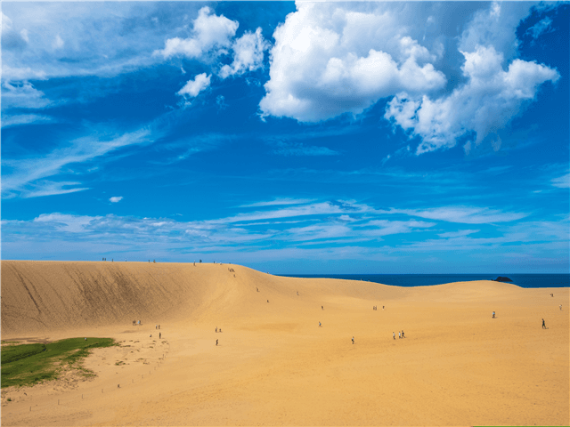 ASJPP01536-thumbnail