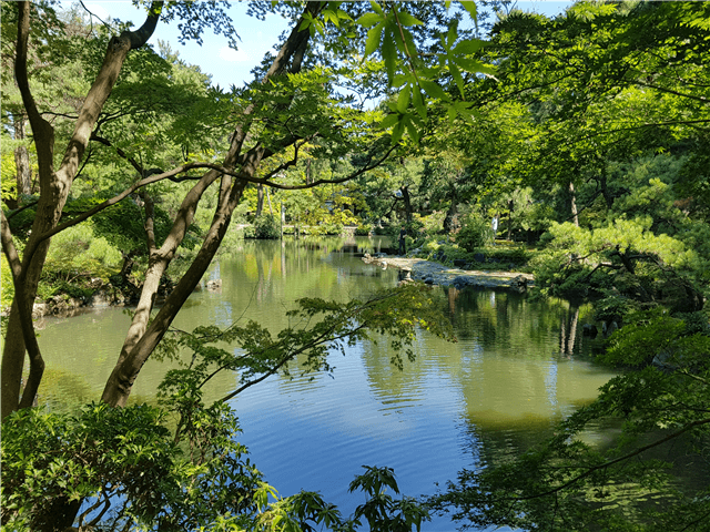 ASJPP08339-thumbnail