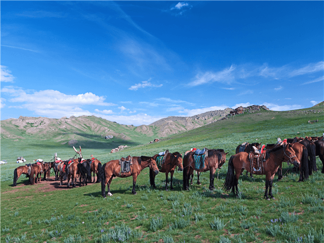 [출발확정][노쇼핑/게르2~4인실무료/승마체험+별빛포차+독수리체험] 테를지 3박5일 (4성호텔1박+VIP게르2박) 썸네일 이미지