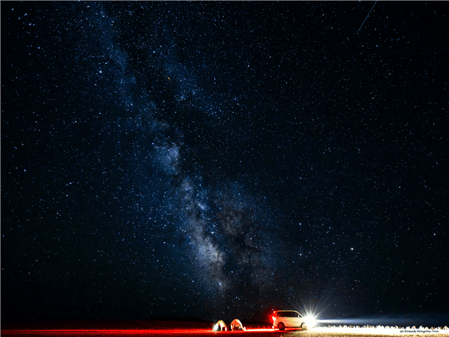 ASMNP01360-thumbnail