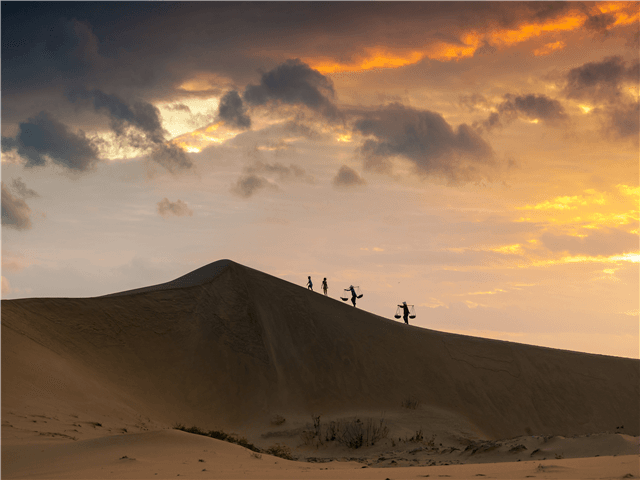 ASVNP21201-thumbnail