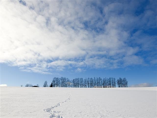 ASJPP07119-thumbnail