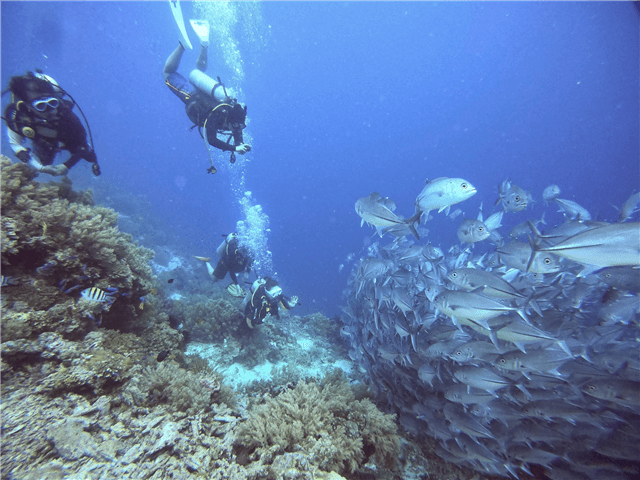 ASIDP04617-thumbnail