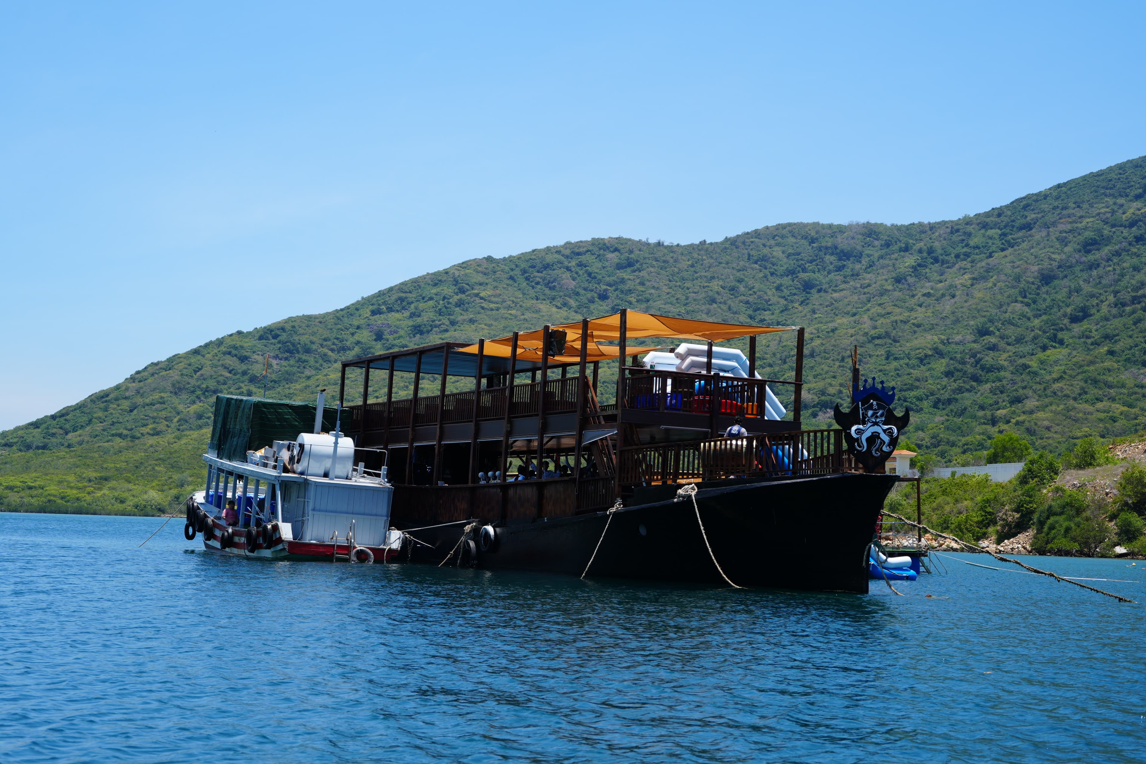 ASVNP00312-thumbnail