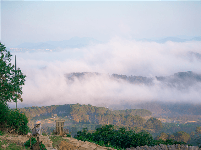 ASVNP20741-thumbnail