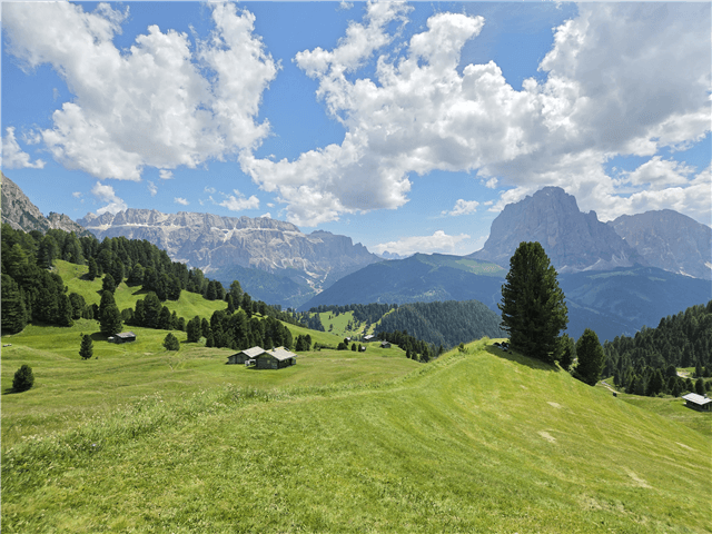 EUITP00072-thumbnail