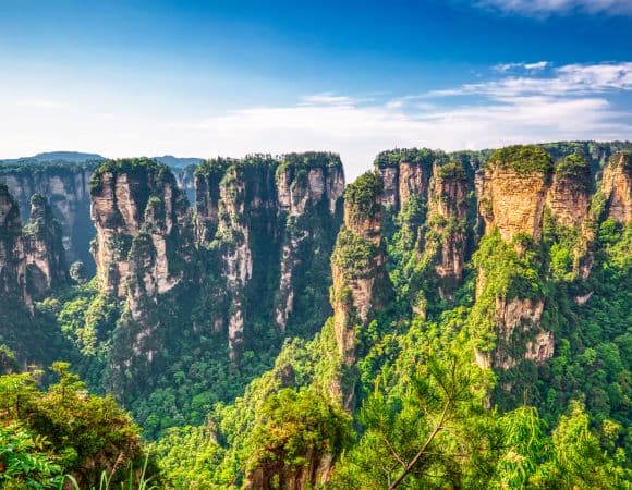 ASCNP29608-thumbnail