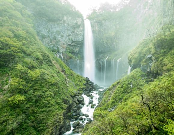 ASJPP07516-thumbnail