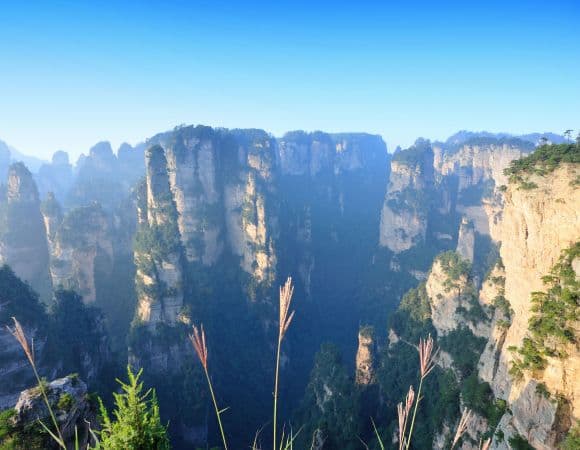 ASCNP00439-thumbnail