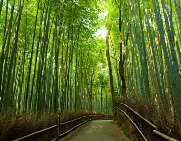 ASJPP00543-thumbnail