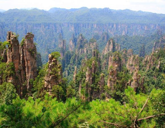 ASCNP06707-thumbnail