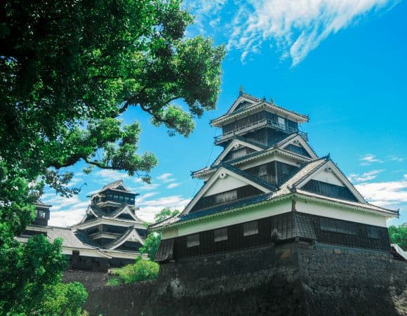 ASJPP05401-thumbnail