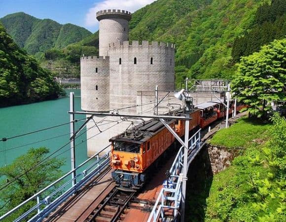 ASJPP08085-thumbnail