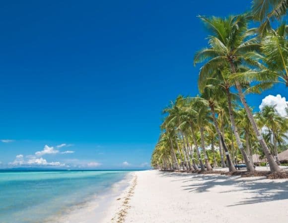 ASPHP00281-thumbnail