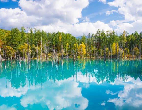 ASJPP06952-thumbnail