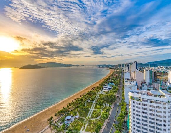 ASVNP10812-thumbnail