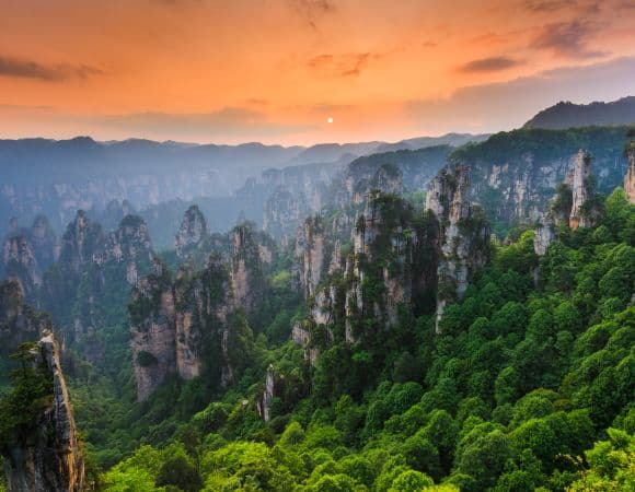 ASCNP00398-thumbnail