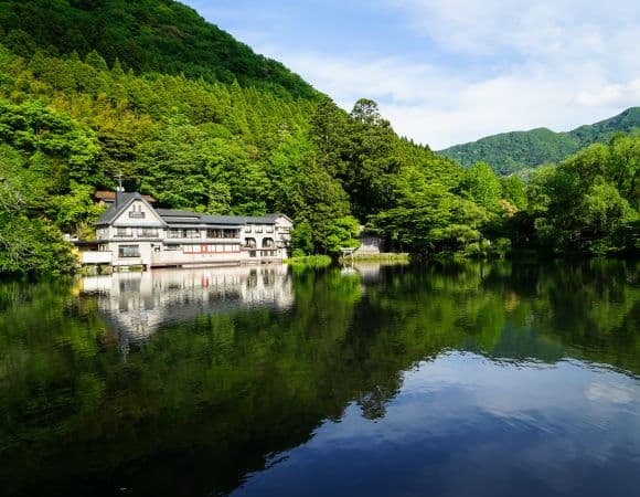 ASJPP08024-thumbnail