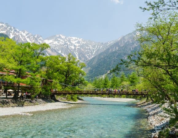 ASJPP08083-thumbnail