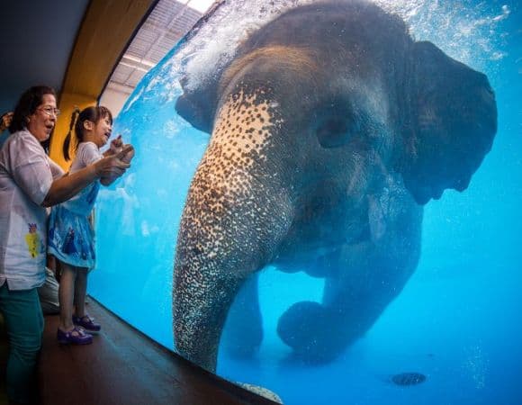 ASTHP06847-thumbnail