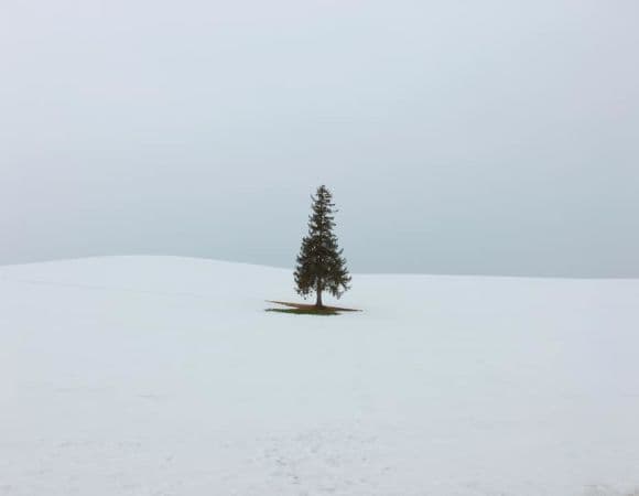 ASJPA06556-thumbnail