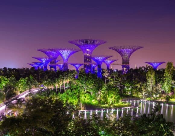 ASSGP00100-thumbnail