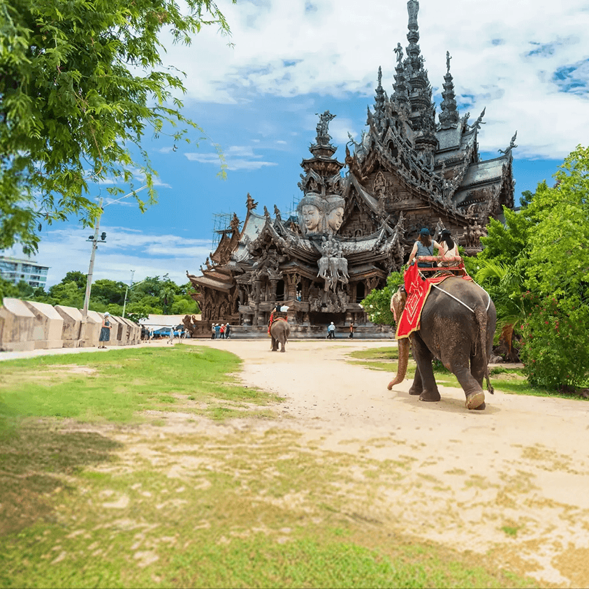 미리 준비하는 동남아 최대 8% 기획전 이미지