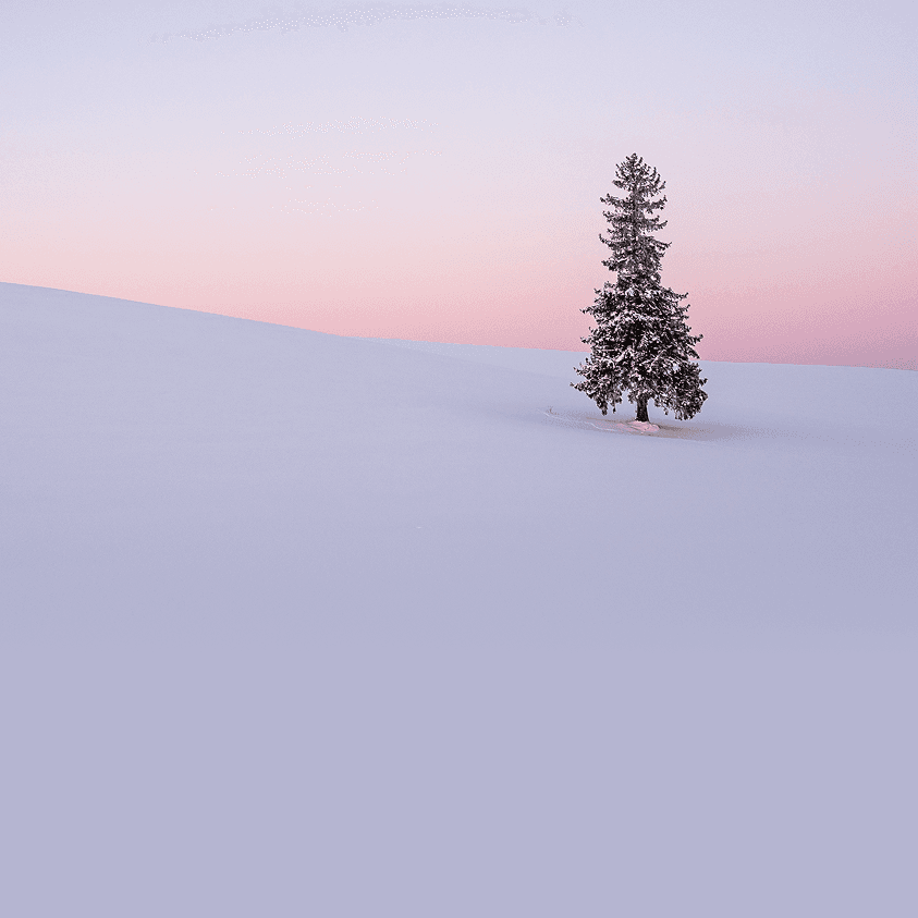 일본/중국 겨울 여행 초특가 기획전 이미지