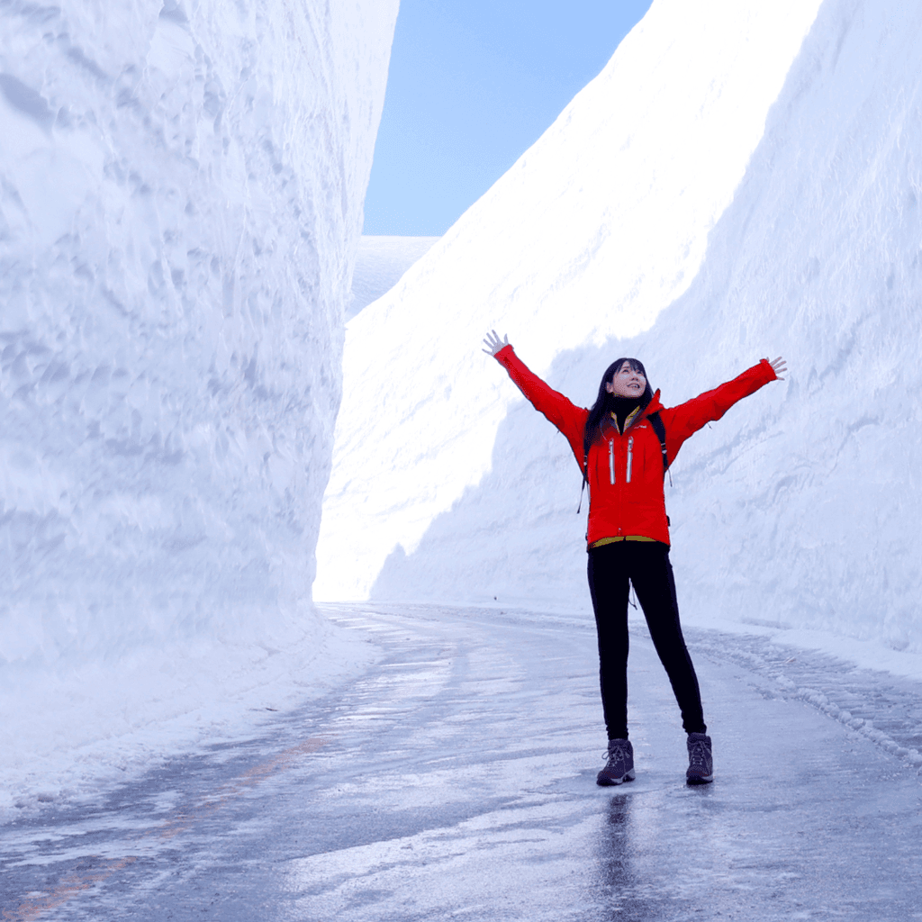 일본 알펜루트 프로모션 기획전 이미지