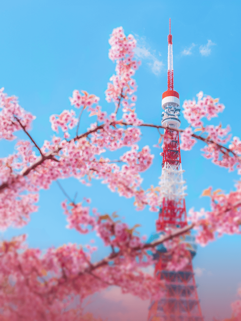 해외패키지 3월 혜택 기획전 이미지