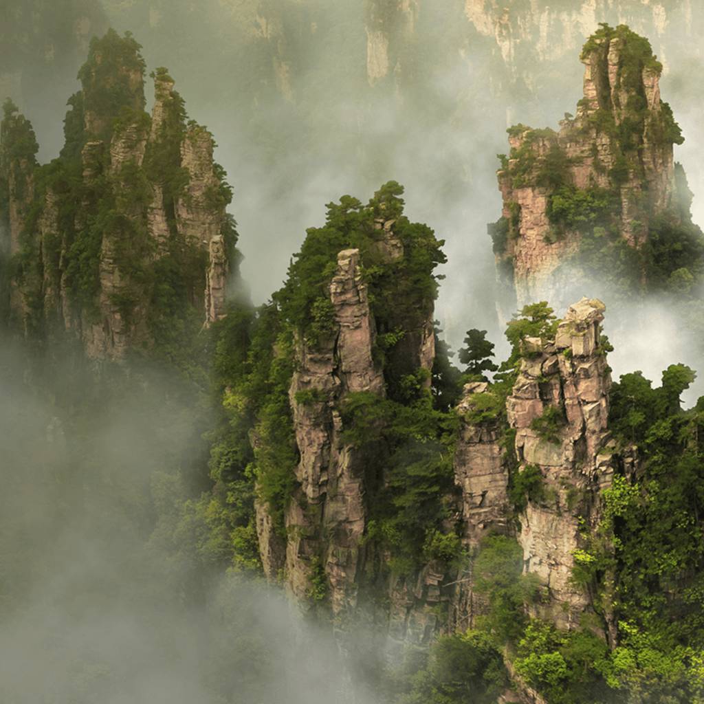 장가계 봄시즌 프로모션 기획전 이미지