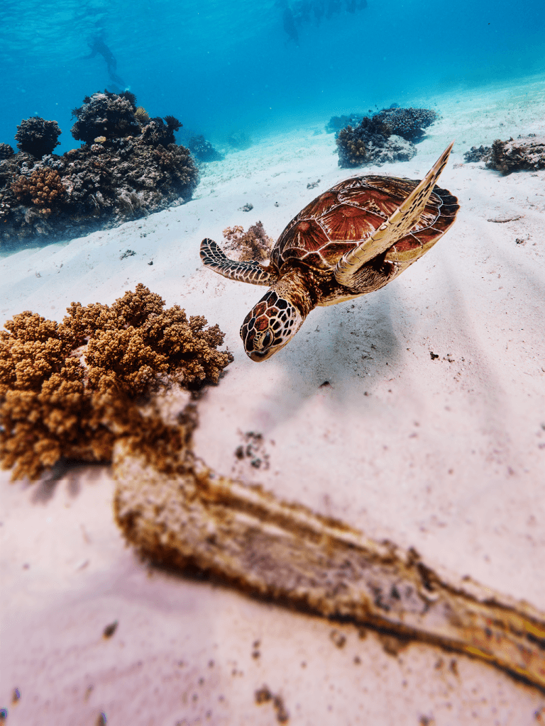 취향 따라 떠나는 이색 여행 기획전 이미지